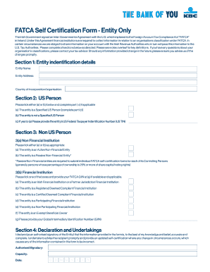 FATCA Self Certification Form - Entity Only