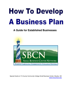 Business Plan for Established Business