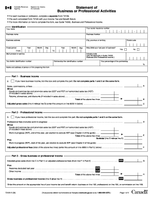 Statement of Business or Professional Activities
