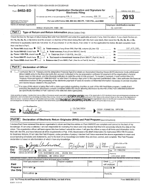 Form 990 2013