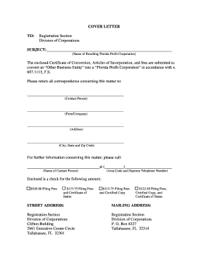 Florida Business Entity Conversion to Profit Corporation