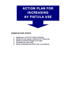 AV Fistula Use Action Plan