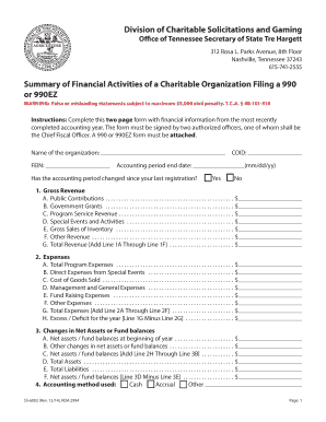 Tennessee Charitable Organization Financial Summary Form