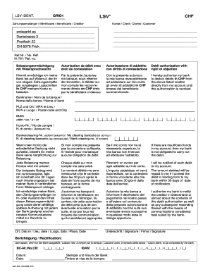 Swissgrid Debit Authorization Form