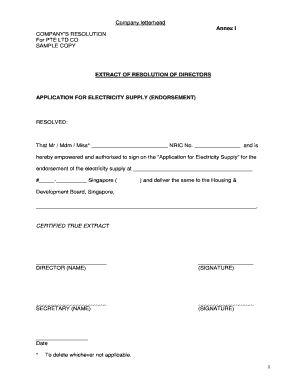 Company Resolution for Electricity Supply Endorsement
