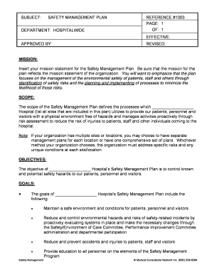 Hospital Safety Management Plan Template