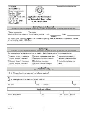 Texas Entity Name Reservation Form 501
