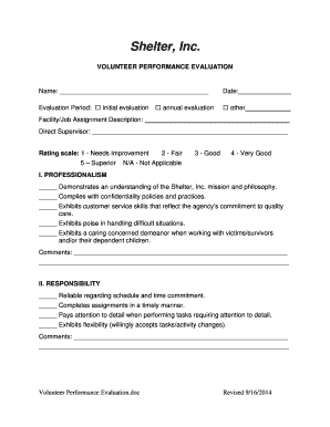 Volunteer Performance Evaluation Form