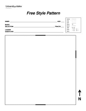 Freestyle Reining Pattern Form