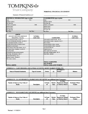 Personal Financial Statement Form