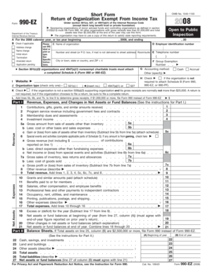 Form 990-EZ 2008