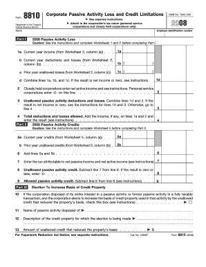IRS Form 8810 2008