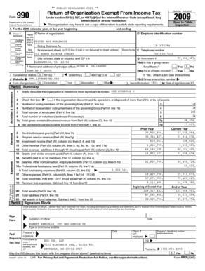 Form 990 2009