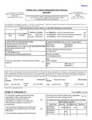 Labor Organization Annual Report Form LM-2
