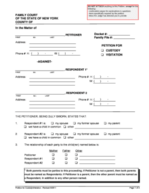 New York Custody Petition Form