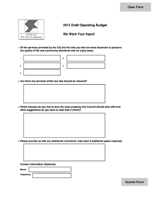 City Operating Budget Survey Form