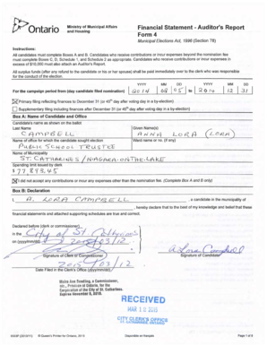 Ontario Municipal Elections Financial Statement