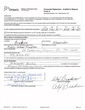 Municipal Elections Financial Statement Form