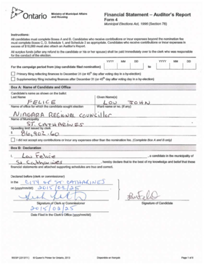 Ontario Municipal Election Financial Statement