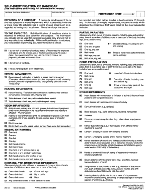 Self-Identification of Handicap Form