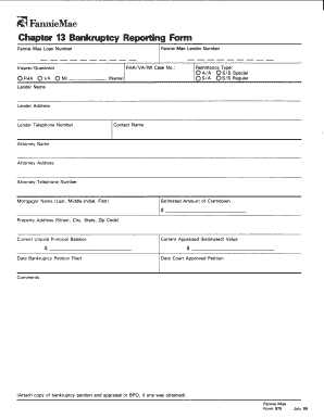 Chapter 13 Bankruptcy Reporting Form
