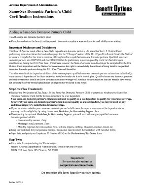 Arizona Same-Sex Domestic Partner's Child Certification