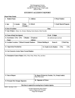 Student Accident Report