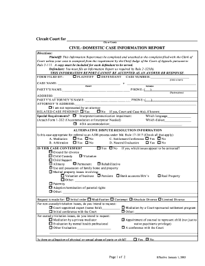 Civil Domestic Case Information Report