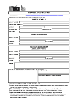 EU Financial Identification Form