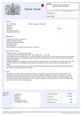 N1 Claim Form for Court Use
