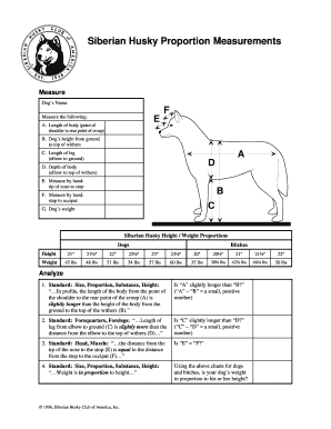 Siberian Husky Proportion Measurements
