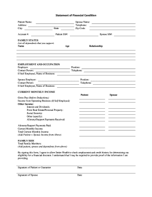 Patient Financial Condition Statement