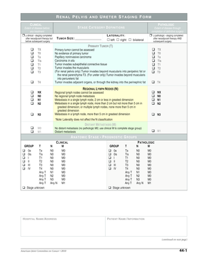 Renal Pelvis and Ureter Staging Form