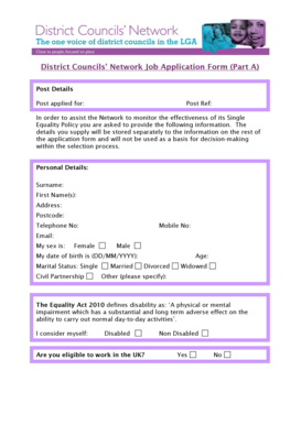 District Councils' Network Job Application Form