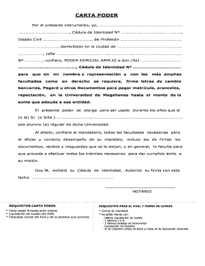 Carta Poder