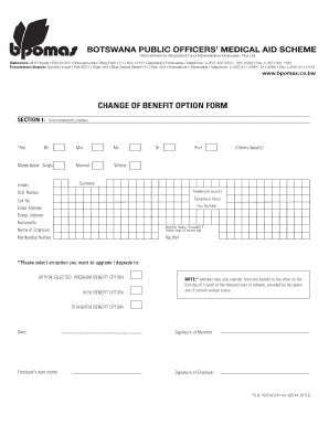 Form preview picture