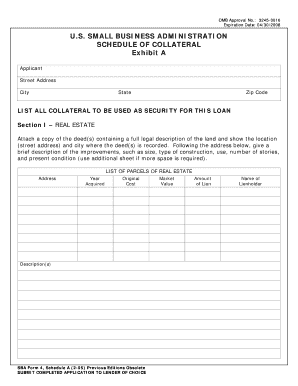 SBA Form 4 Schedule A
