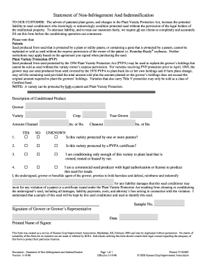 Statement of Non-Infringement and Indemnification