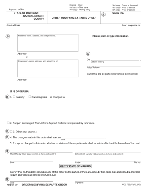 Order Modifying Ex Parte Order