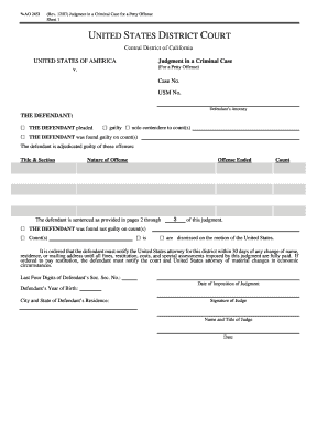 Judgment in a Criminal Case for a Petty Offense