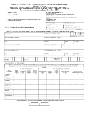 Federal Contractor Veterans' Employment Report VETS-100