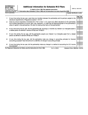 Schedule C Form 1065 Additional Information