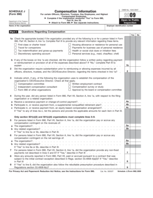 Schedule J Form 990 Compensation Information