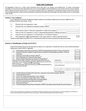 Entity Self-Certification Form