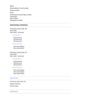 Chronological resume Blue Line theme