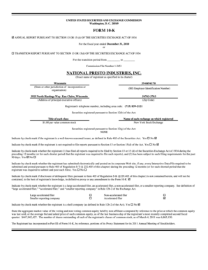 Form 10-K Annual Report