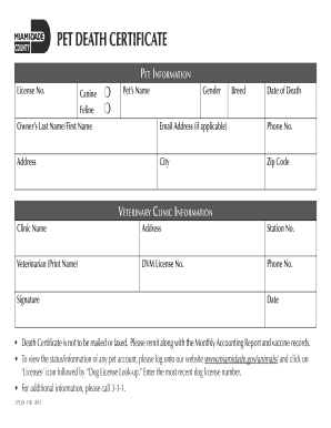 Form preview picture