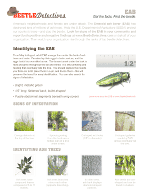Emerald Ash Borer Detection Factsheet