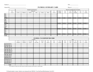 Payroll Summary Card