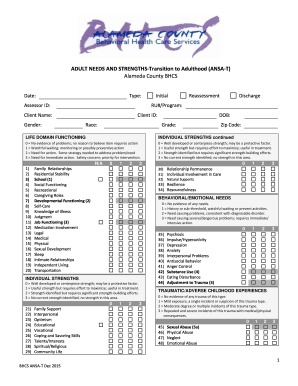 Adult Needs and Strengths Transition Form